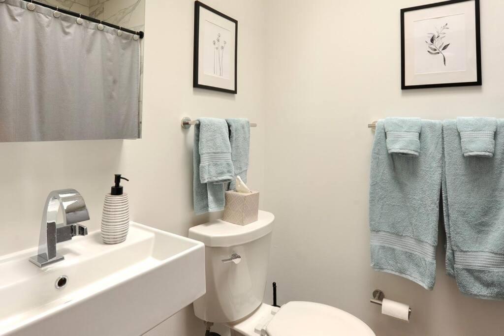 Cherry Blossom Townhouse, Easy Dc Access ワシントン エクステリア 写真