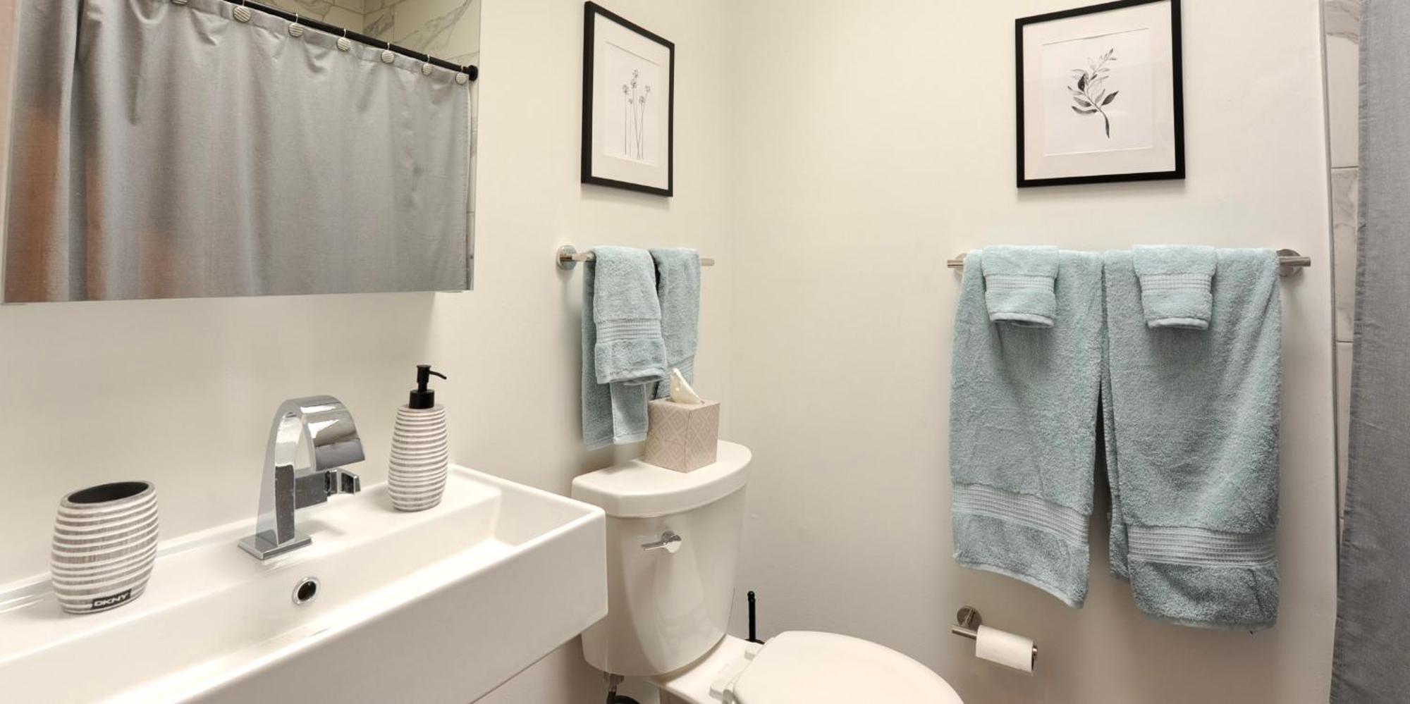 Cherry Blossom Townhouse, Easy Dc Access ワシントン エクステリア 写真